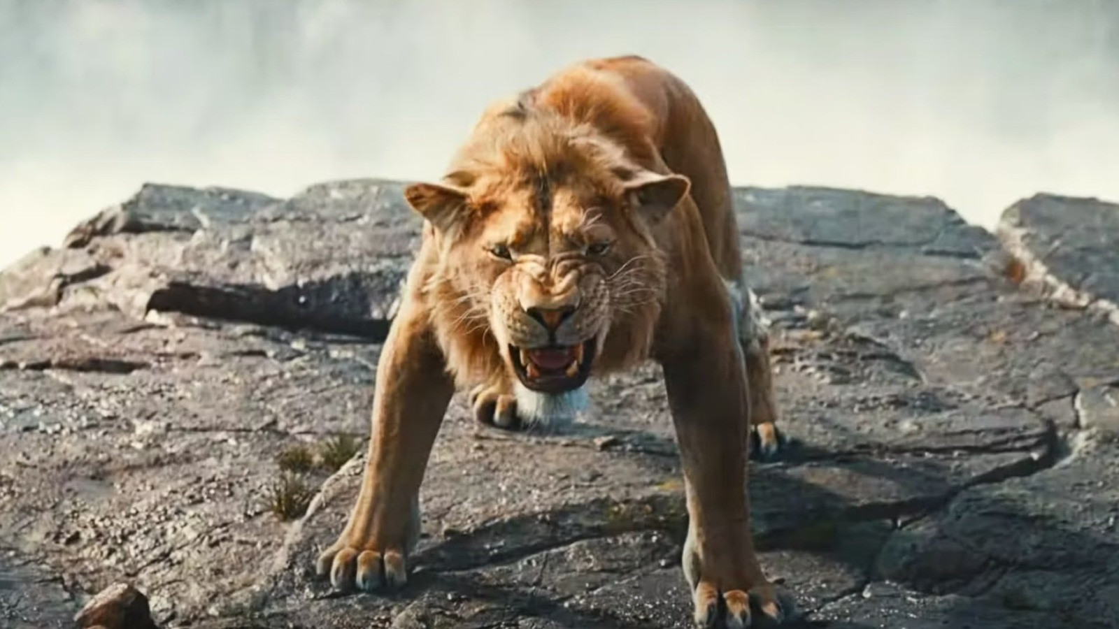 Can 'Mufasa' break Disney's mediocre streak?