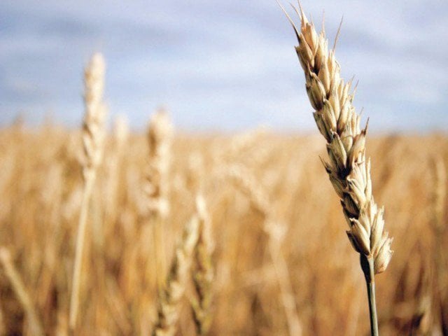 Private investment in grain storage discussed