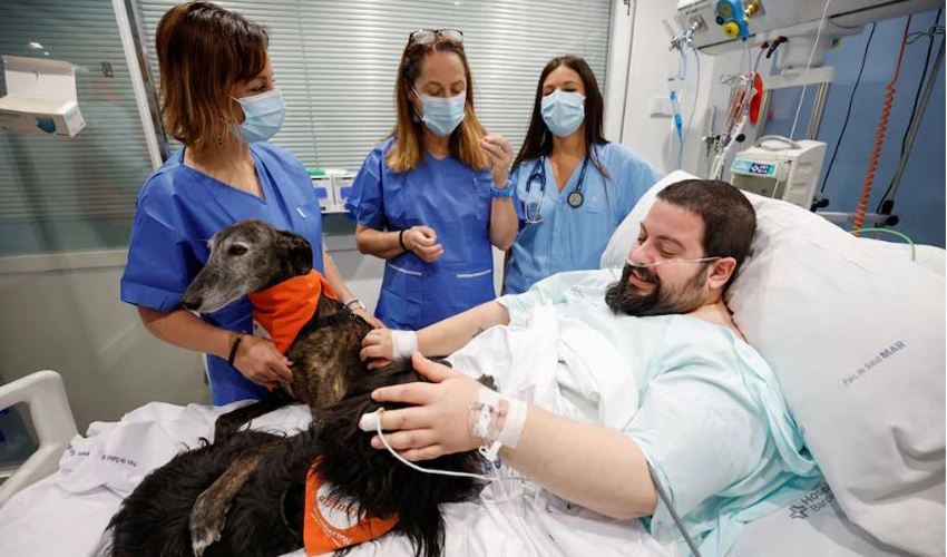 Spanish hospital enlists therapy dogs to boost ICU patients' morale